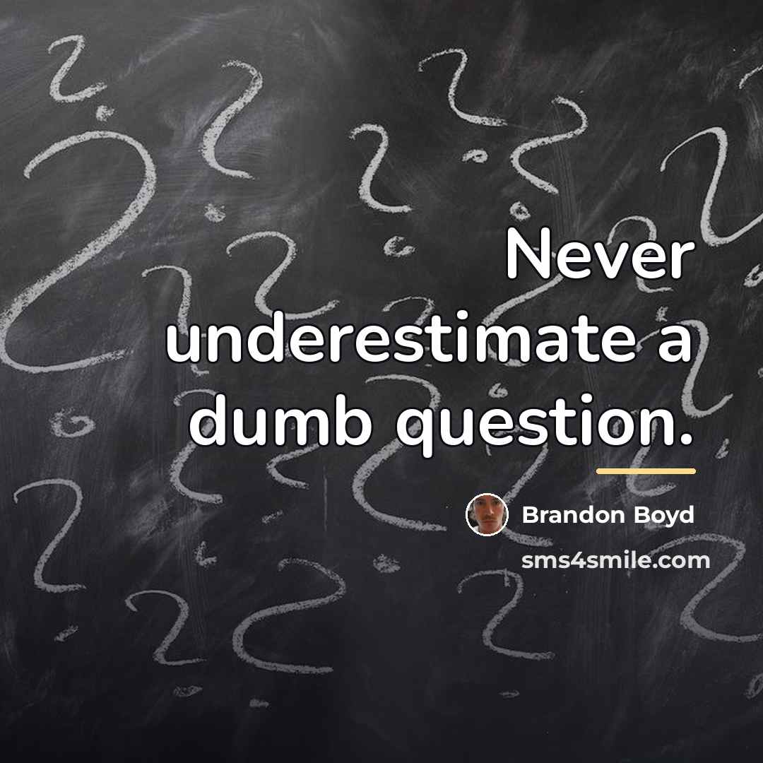 “Never underestimate a dumb question.…” quote by Brandon Boyd