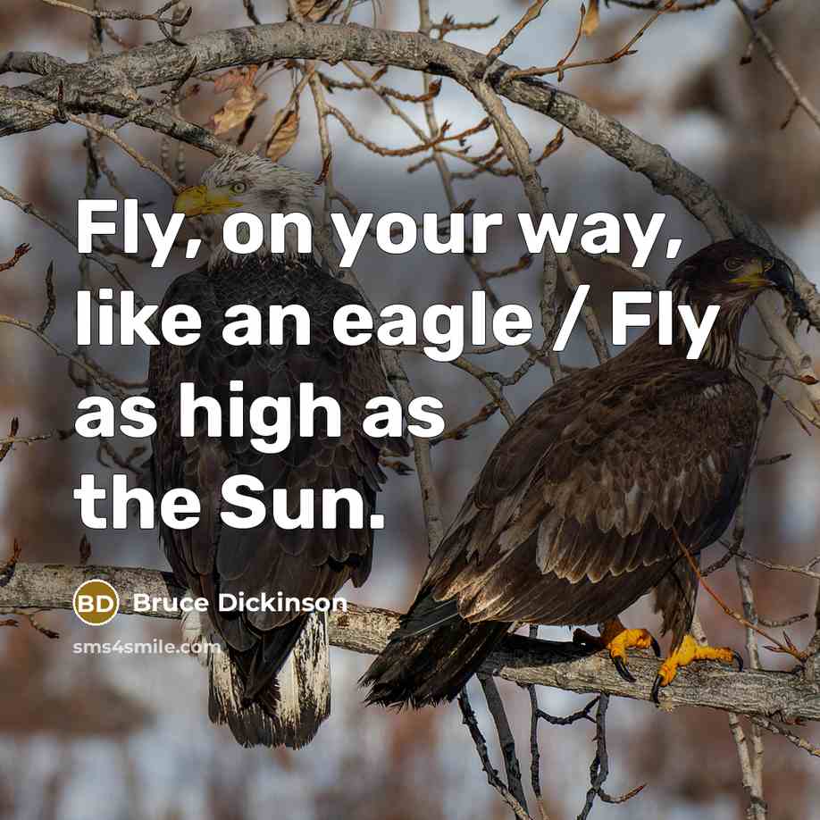 “Fly, on your way, like an eagle / Fly as…” quote by Bruce Dickinson
