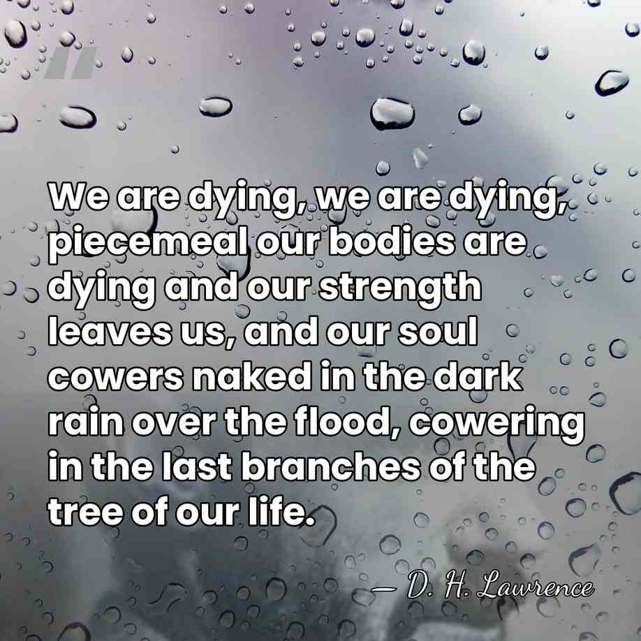 We are dying, we are dying, piecemeal our bodies are dying and&hellip; - D. H. Lawrence