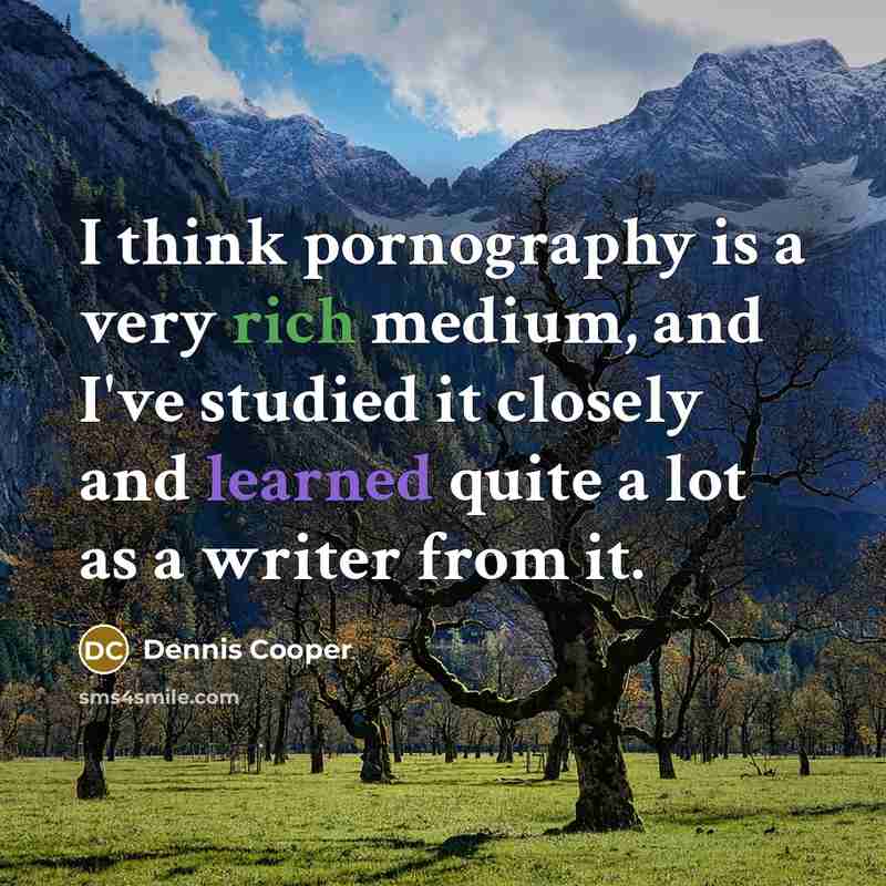 “I think pornography is a very rich medium, and I've…” quote by Dennis Cooper