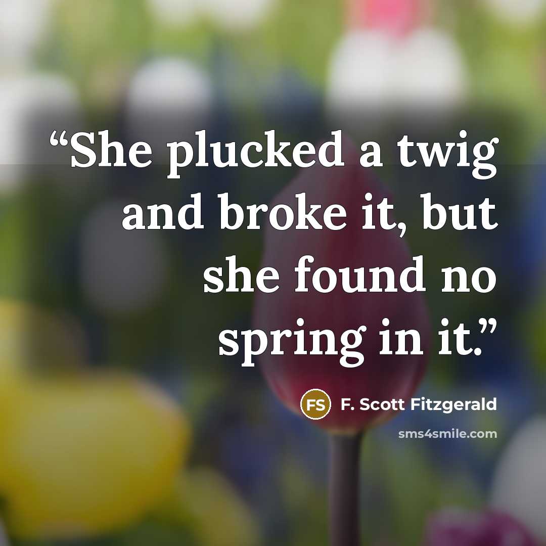 “She plucked a twig and broke it, but she found no spring in it.” quote by F. Scott Fitzgerald