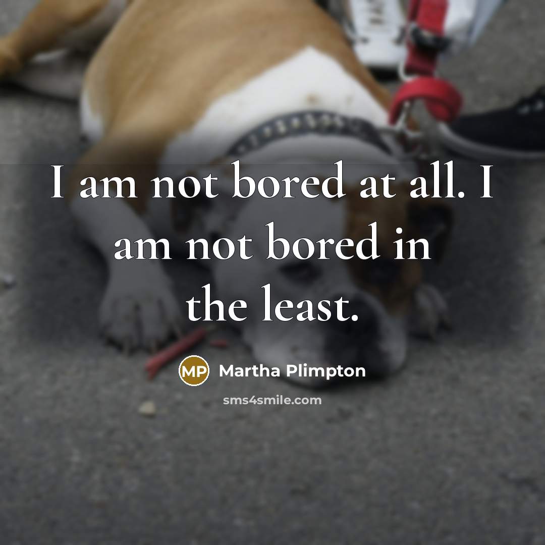 “I am not bored at all. I am not bored…” quote by Martha Plimpton