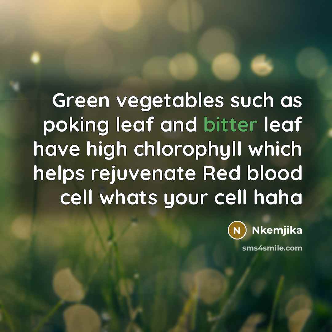 “Green vegetables such as poking leaf and bitter leaf have high chlorophyll which helps rejuvenate Red blood cell whats your cell haha” quote by Nkemjika