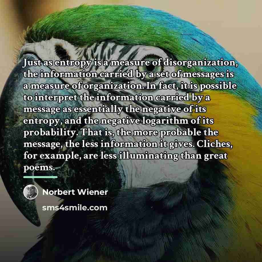 “Just as entropy is a measure of disorganization, the information…” quote by Norbert Wiener