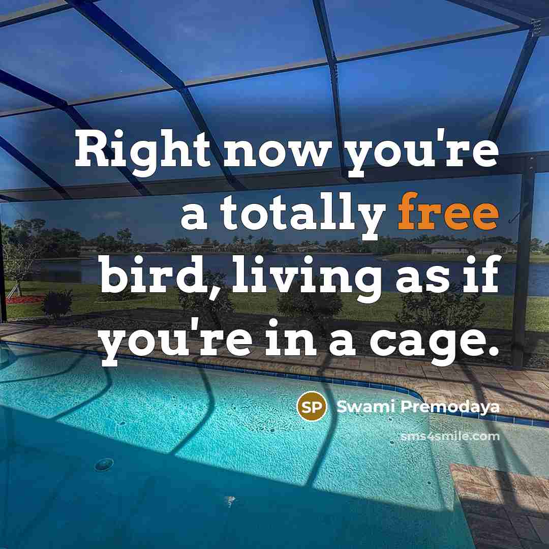 “Right now you're a totally free bird, living as if you're in a cage.” quote by Swami Premodaya