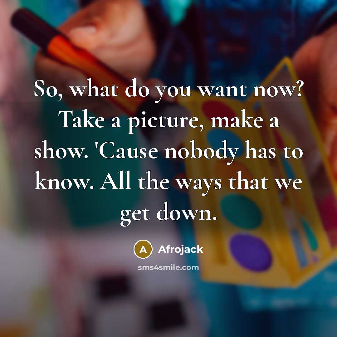 “So, what do you want now? Take a picture, make…” quote by Afrojack