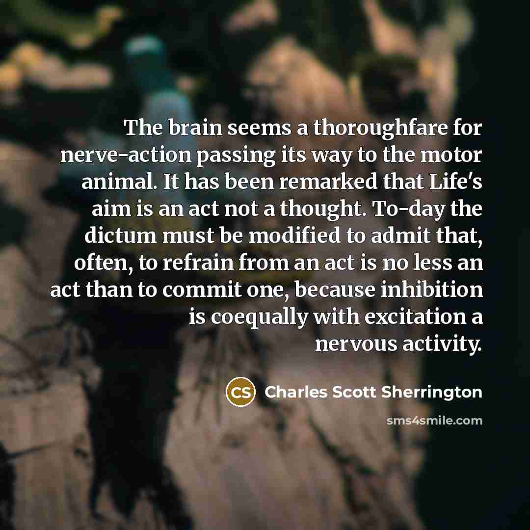 “The brain seems a thoroughfare for nerve-action passing its way…” quote by Charles Scott Sherrington
