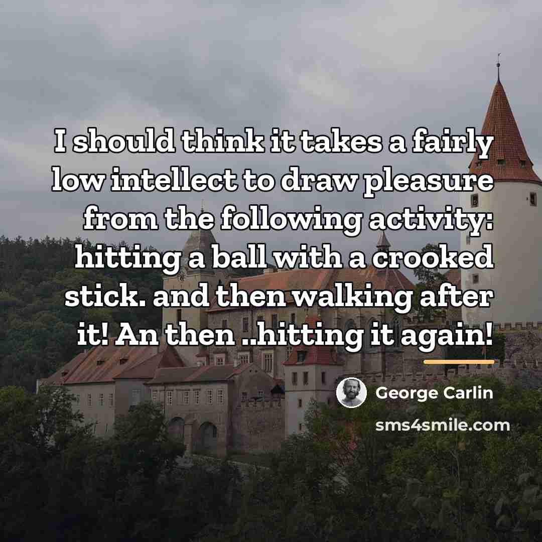 “I should think it takes a fairly low intellect to…” quote by George Carlin