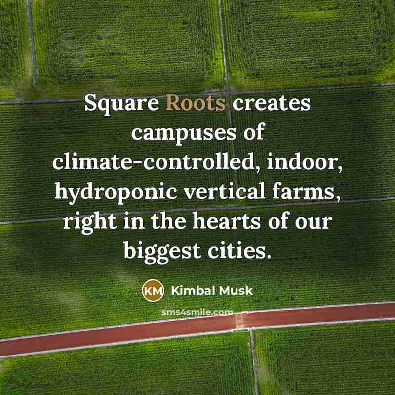“Square Roots creates campuses of climate-controlled, indoor, hydroponic vertical farms,…” quote by Kimbal Musk
