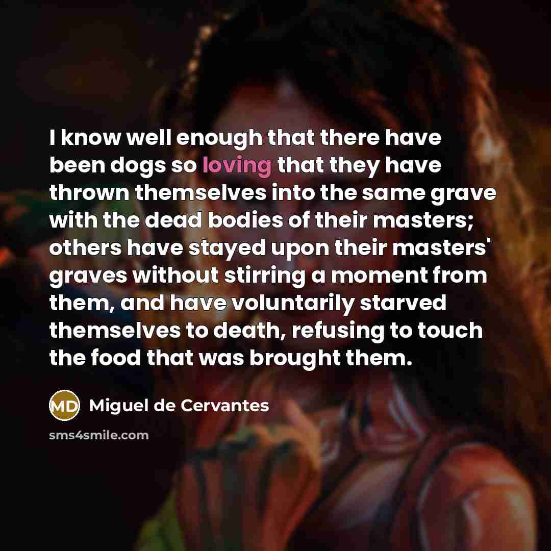 “I know well enough that there have been dogs so…” quote by Miguel de Cervantes