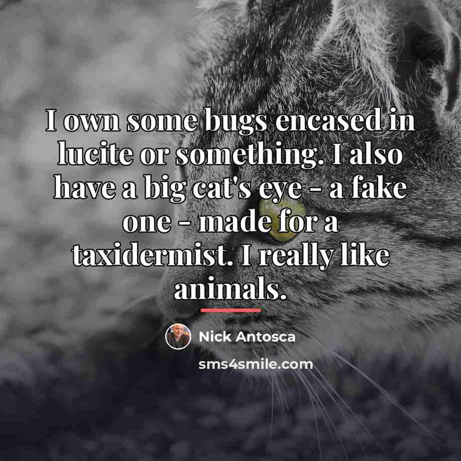 “I own some bugs encased in lucite or something. I…” quote by Nick Antosca