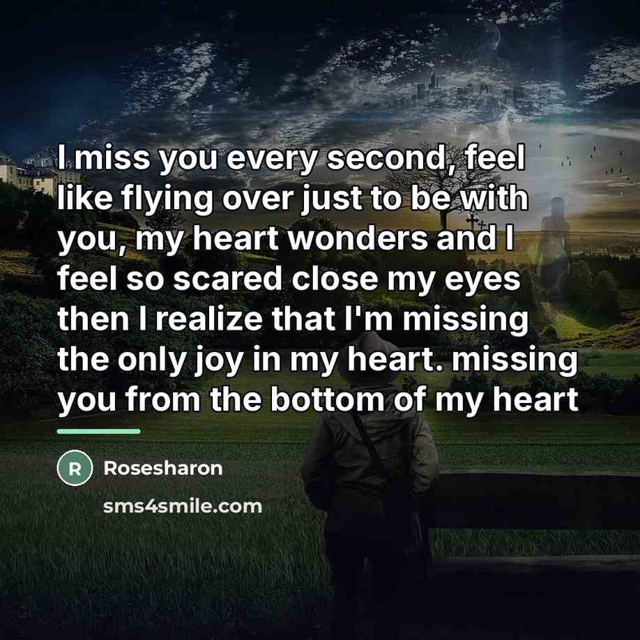 “I miss you every second, feel like flying over just…” quote by Rosesharon