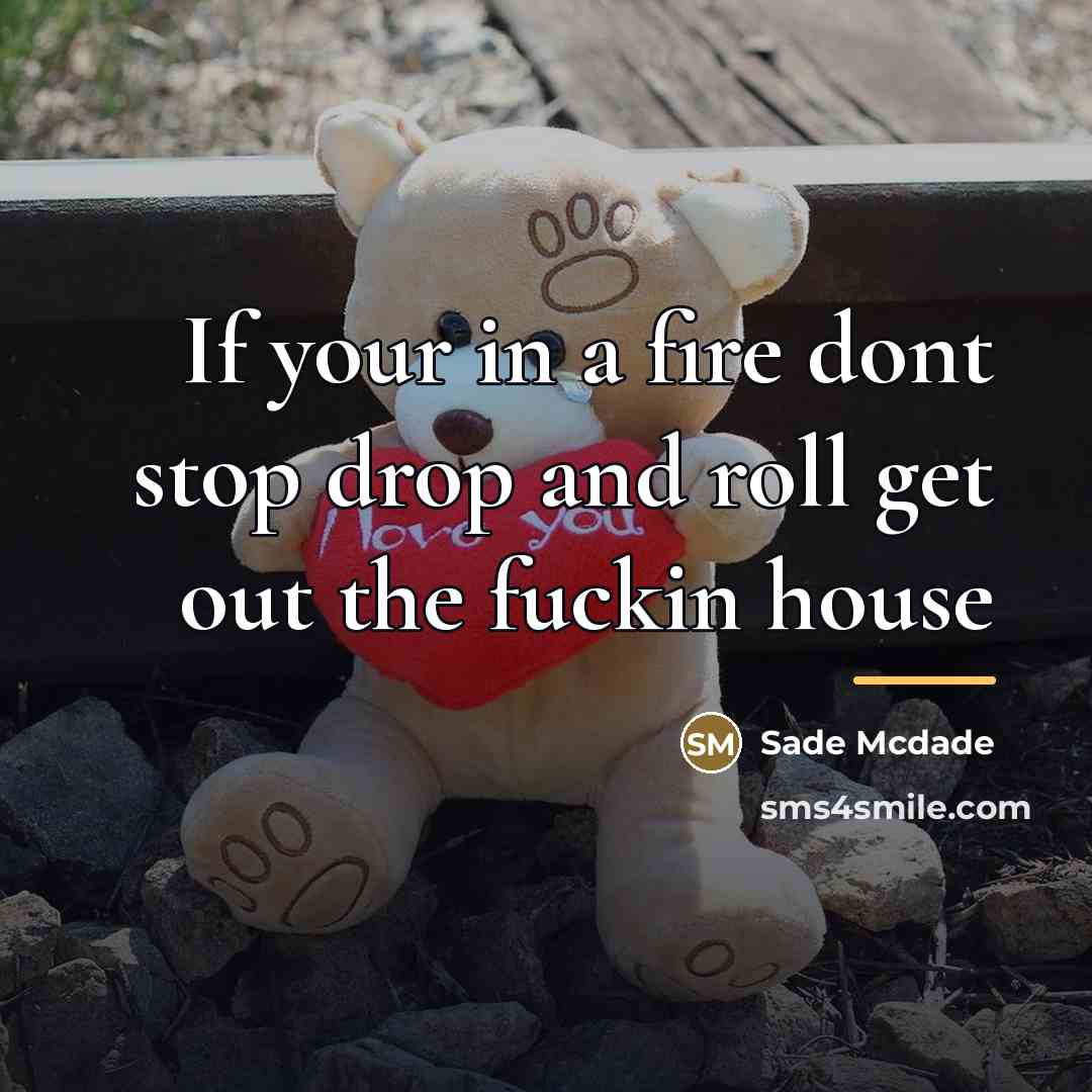 “If your in a fire dont stop drop and roll…” quote by Sade McDade