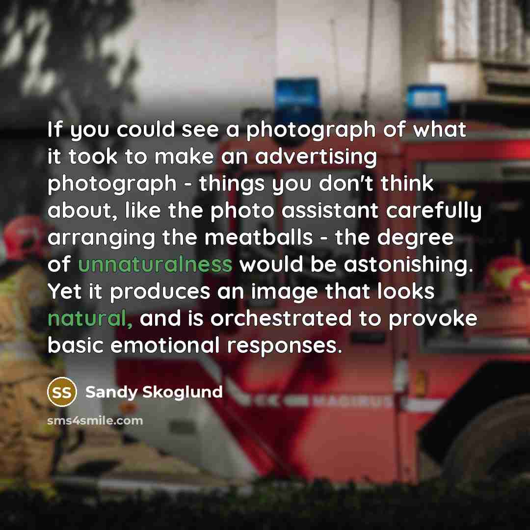 “If you could see a photograph of what it took…” quote by Sandy Skoglund