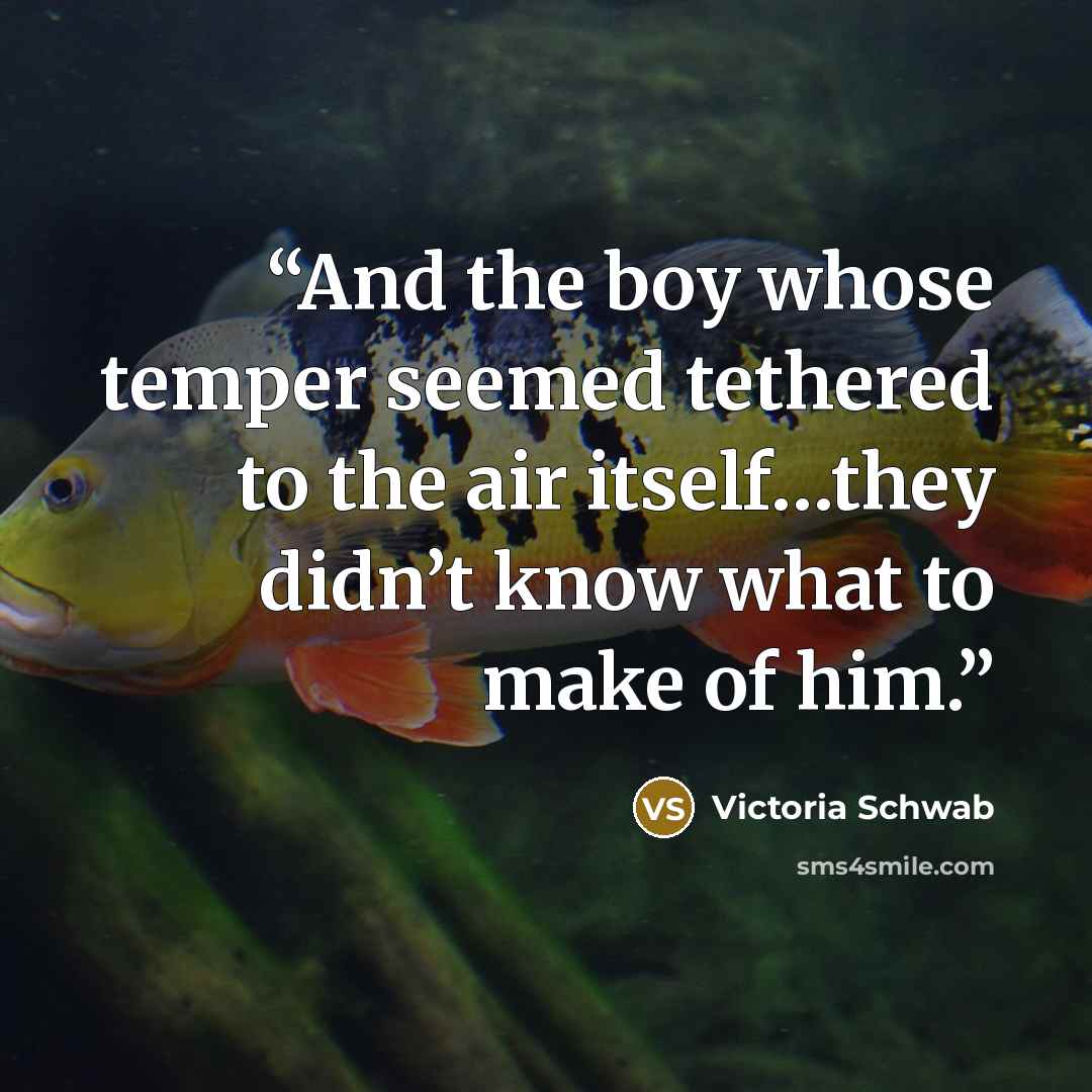 “And the boy whose temper seemed tethered to the air itself…they didn’t know what to make of him.” quote by Victoria Schwab