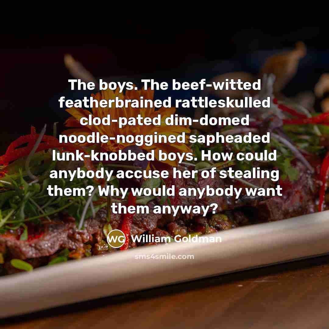 “The boys. The beef-witted featherbrained rattleskulled clod-pated dim-domed noodle-noggined sapheaded lunk-knobbed boys. How could anybody accuse her of stealing them? Why would anybody want them anyway?” quote by William Goldman