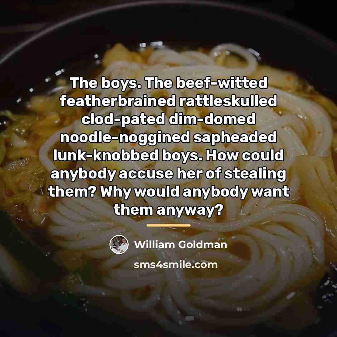 “The boys. The beef-witted featherbrained rattleskulled clod-pated dim-domed noodle-noggined sapheaded…” quote by William Goldman