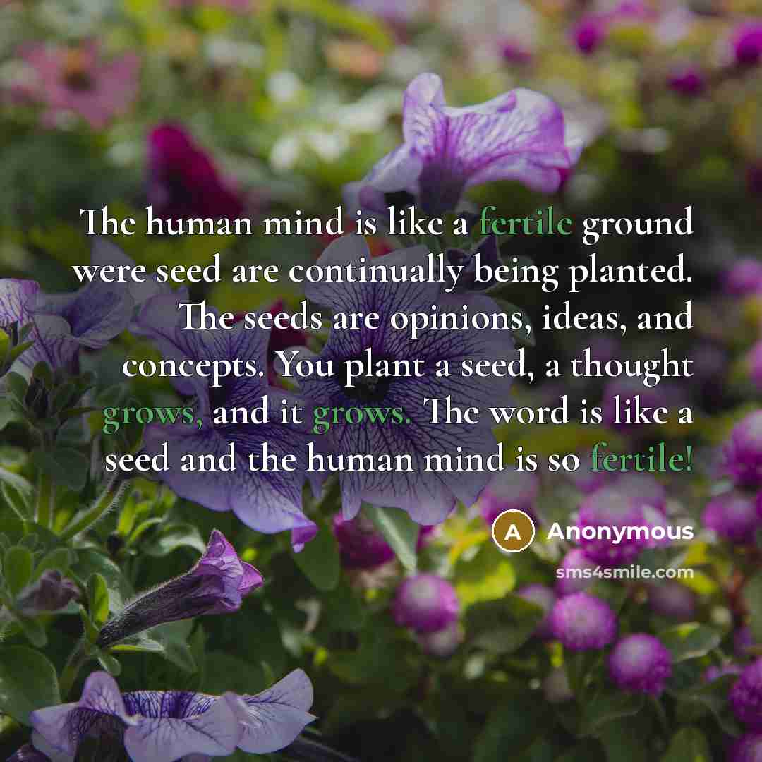 “The human mind is like a fertile ground were seed are continually being planted. The seeds are opinions, ideas, and concepts. You plant a seed, a thought grows, and it grows. The word is like a seed and the human mind is so fertile!” quote by Anonymous