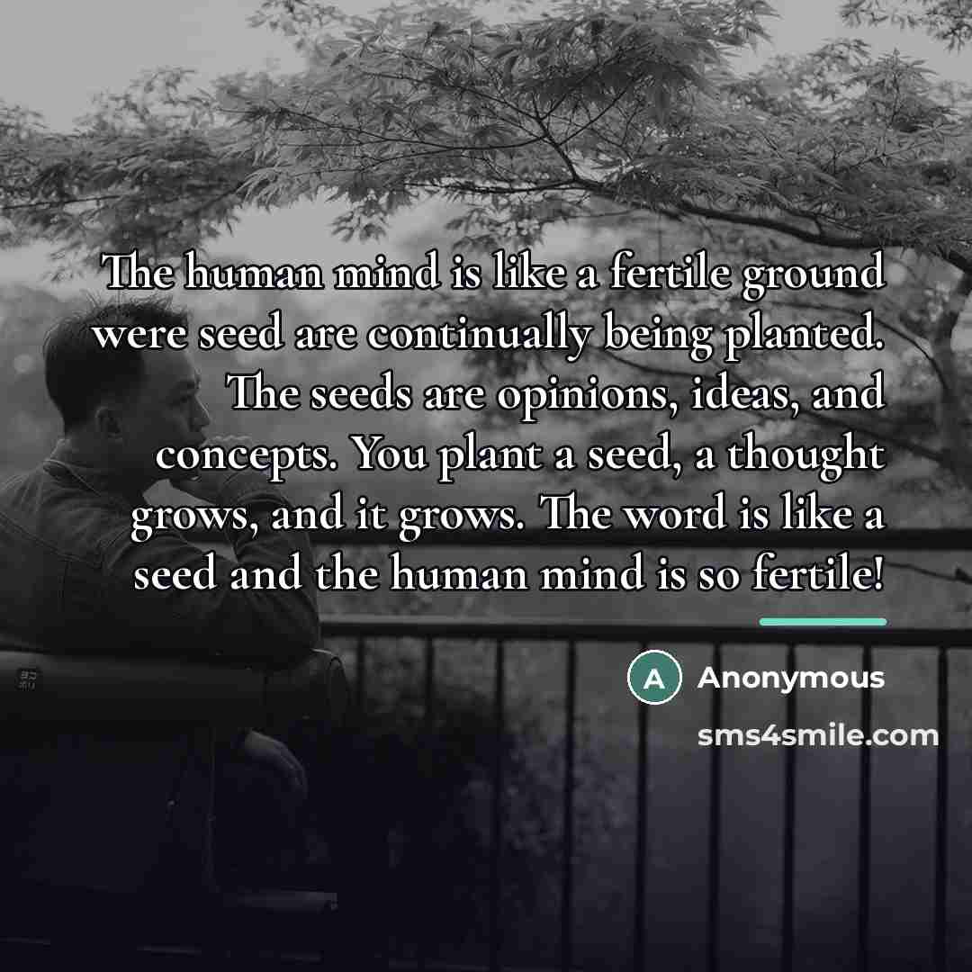 “The human mind is like a fertile ground were seed…” quote by Anonymous