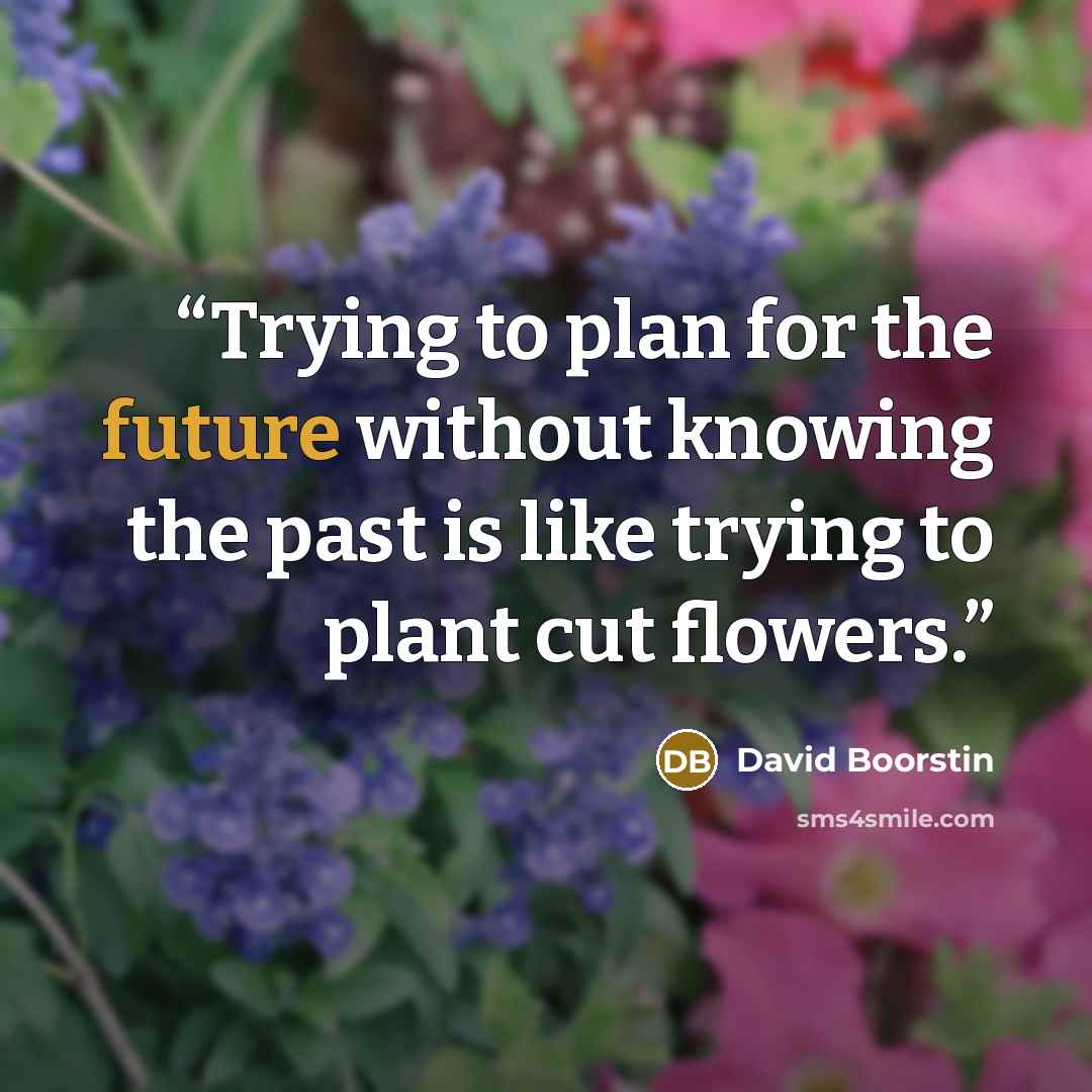 “Trying to plan for the future without knowing the past is like trying to plant cut flowers.” quote by David Boorstin