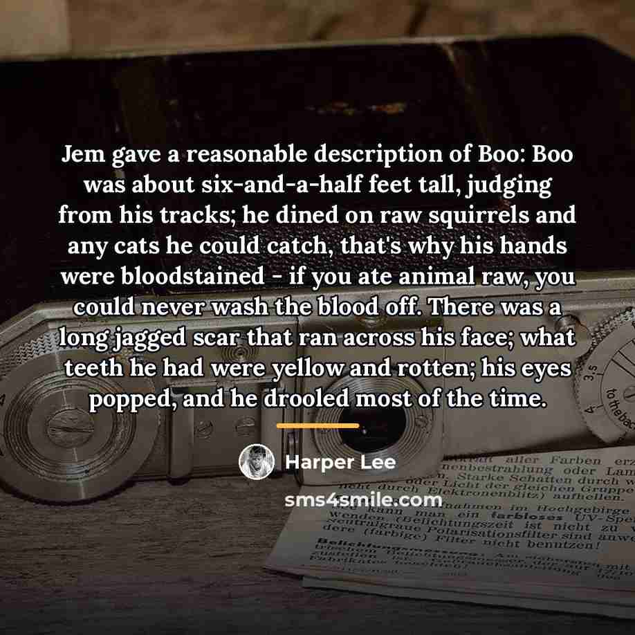“Jem gave a reasonable description of Boo: Boo was about…” quote by Harper Lee