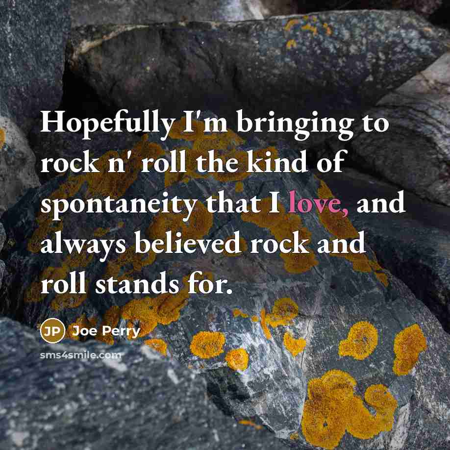 “Hopefully I'm bringing to rock n' roll the kind of…” quote by Joe Perry