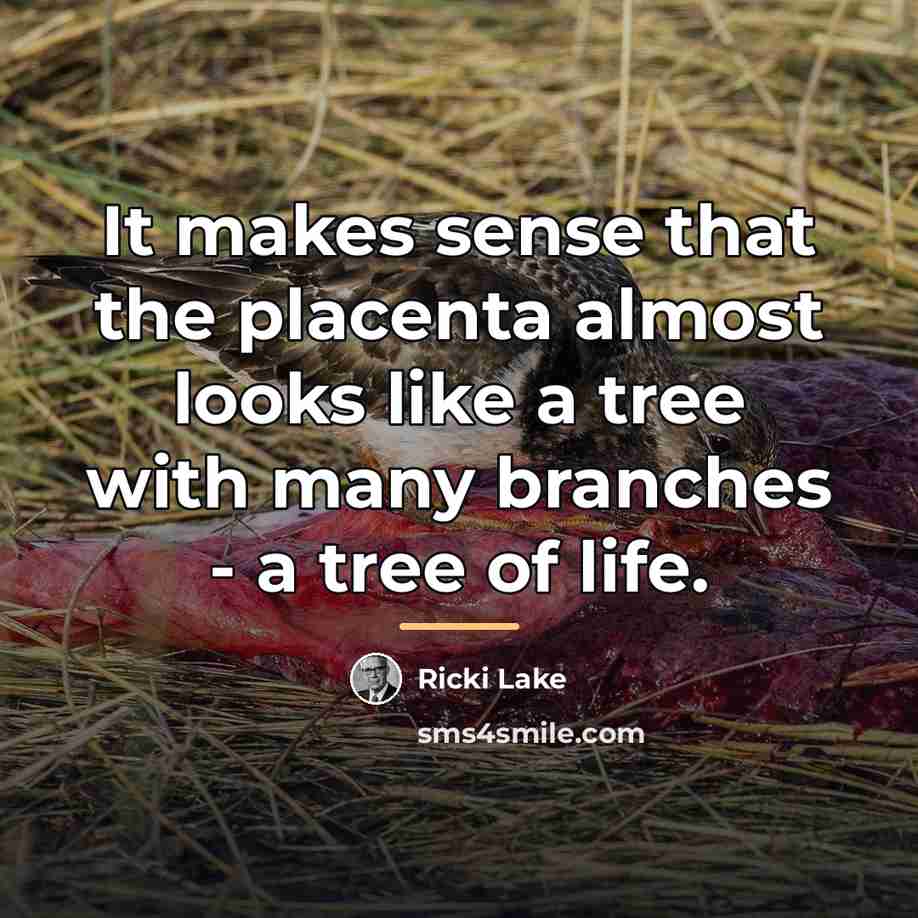 “It makes sense that the placenta almost looks like a…” quote by Ricki Lake