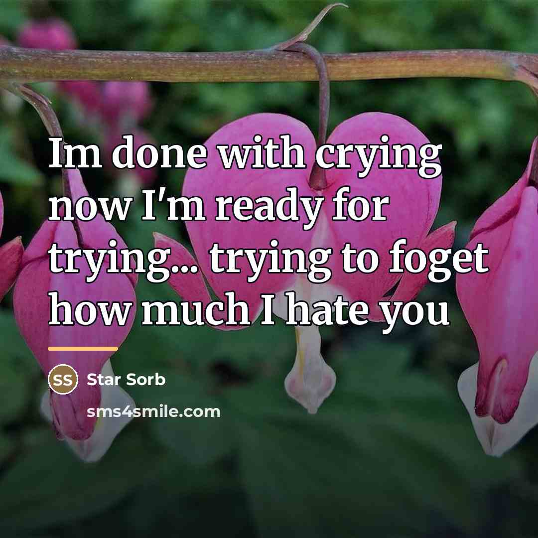 “Im done with crying now I'm ready for trying... trying…” quote by Star Sorb