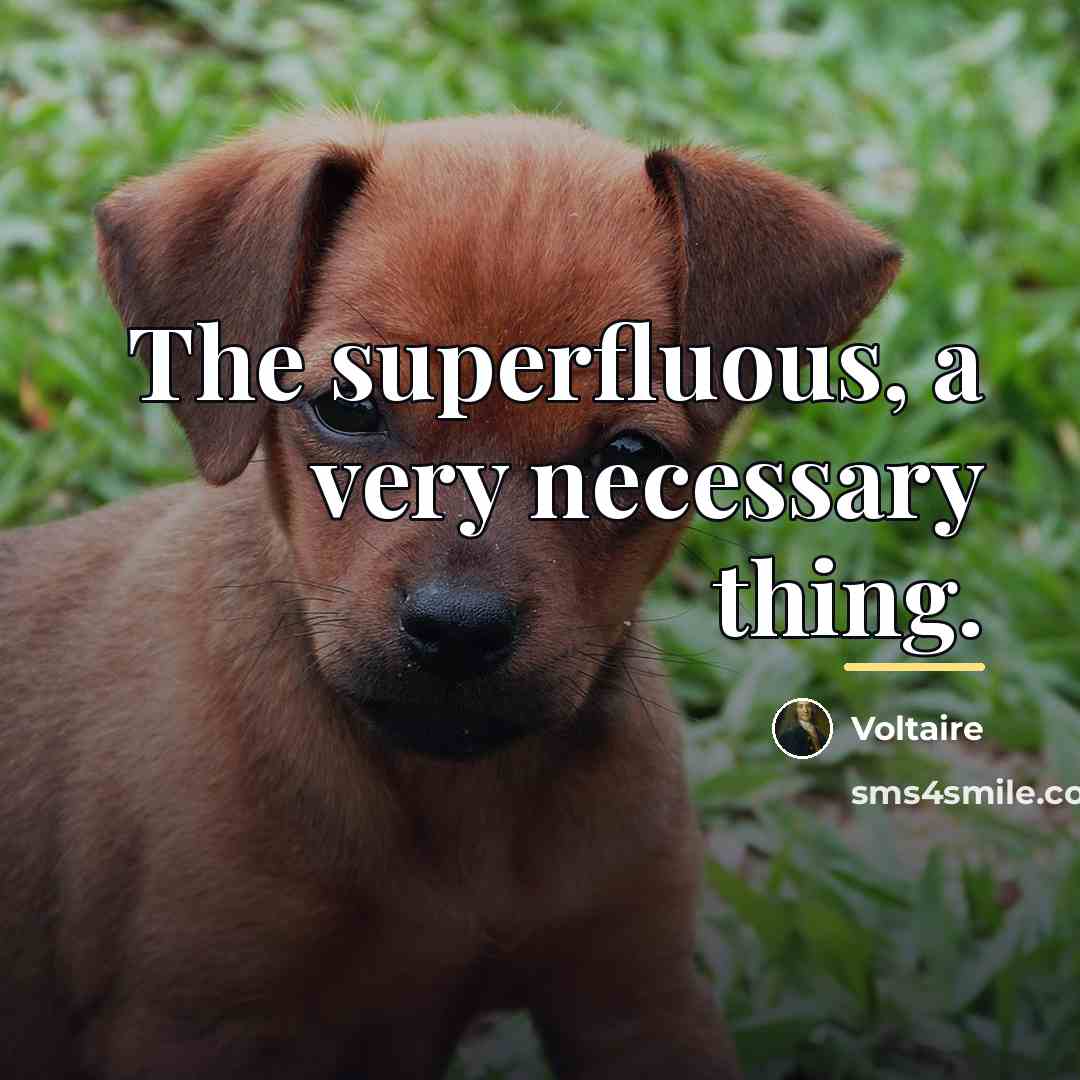 “The superfluous, a very necessary thing.…” quote by Voltaire