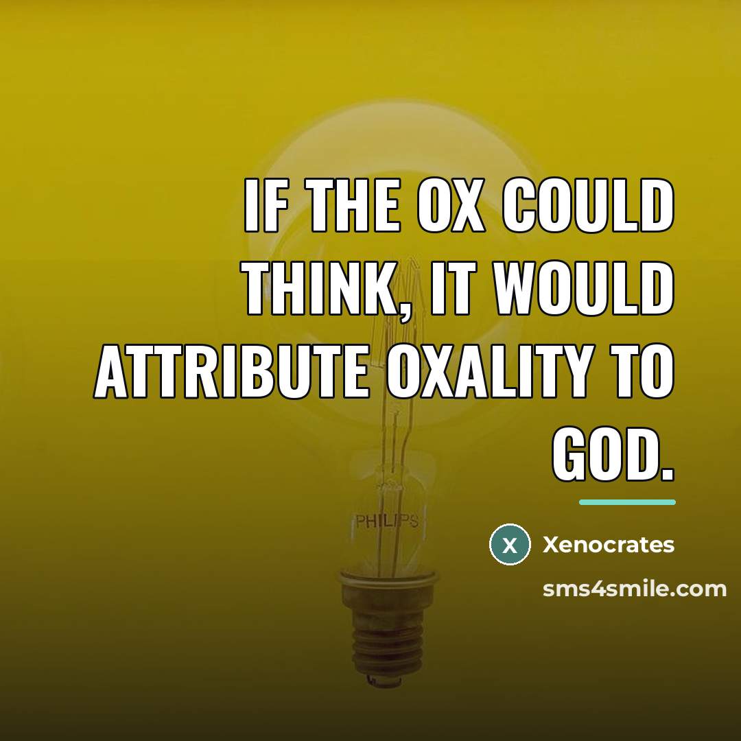 “If the ox could think, it would attribute oxality to…” quote by Xenocrates