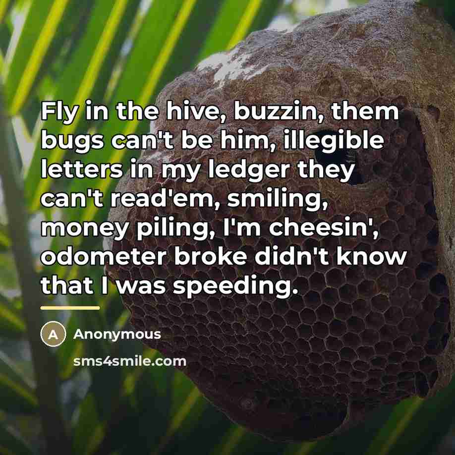 “Fly in the hive, buzzin, them bugs can't be him,…” quote by Anonymous