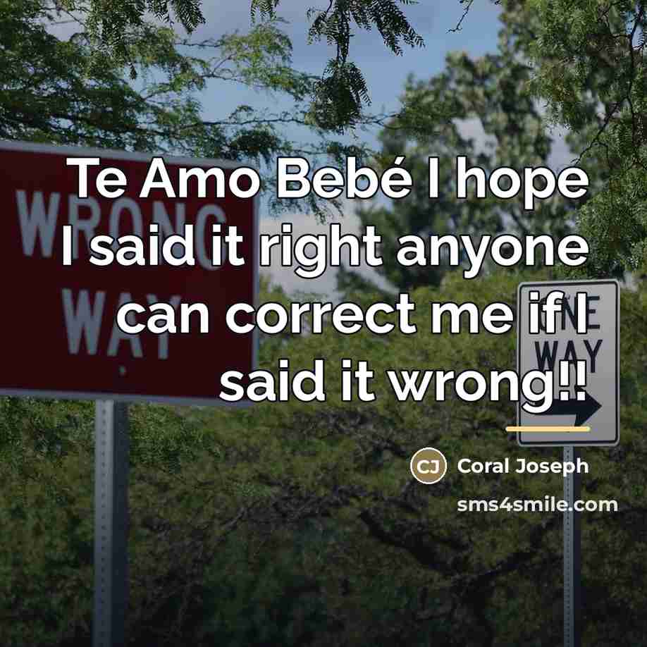 “Te Amo Bebé I hope I said it right anyone…” quote by Coral Joseph