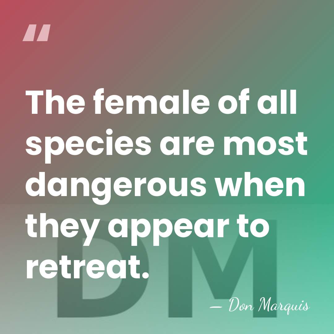 The female of all species are most dangerous when they appear to&hellip; - Don Marquis