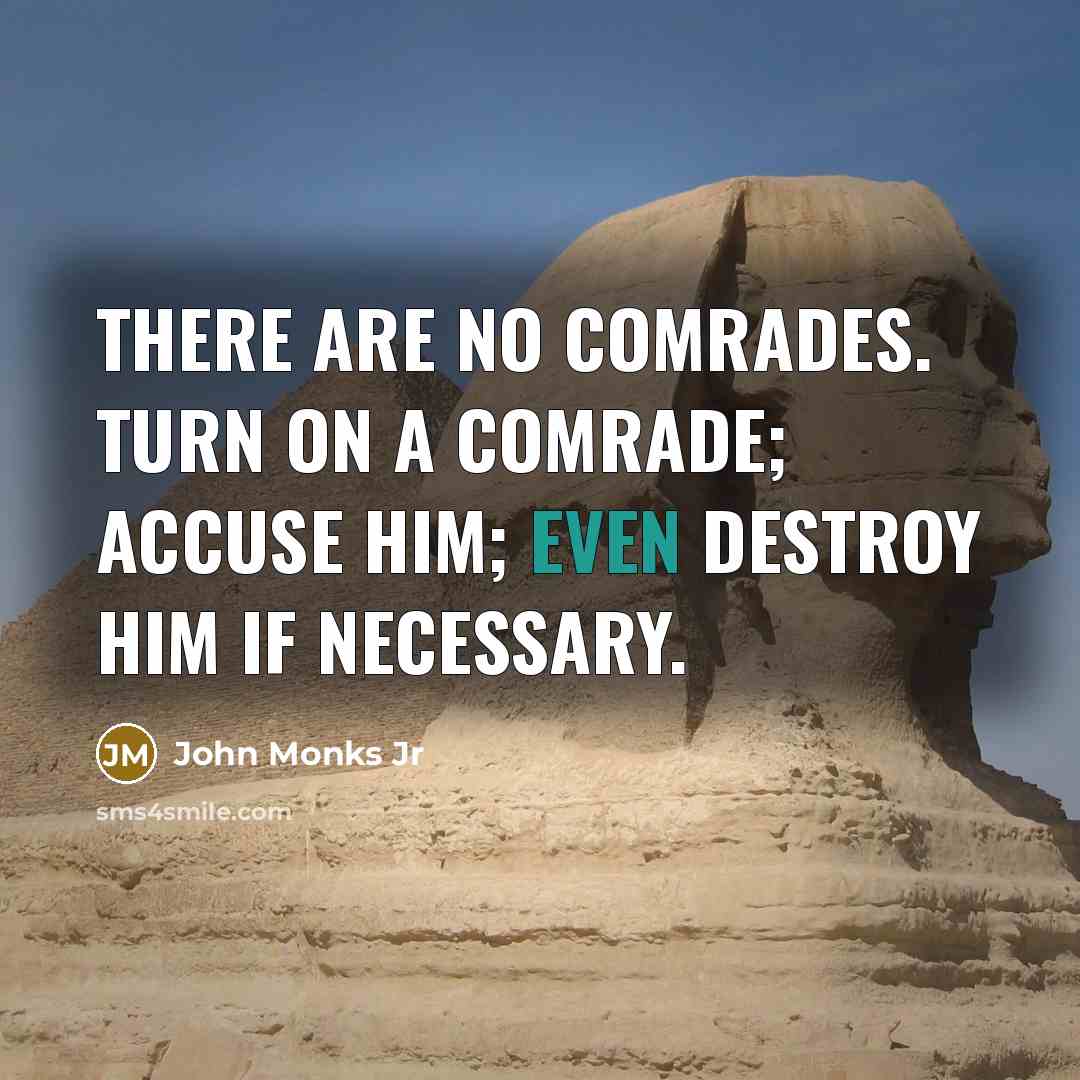 “There are no comrades. Turn on a comrade; accuse him; even destroy him if necessary.” quote by John Monks Jr