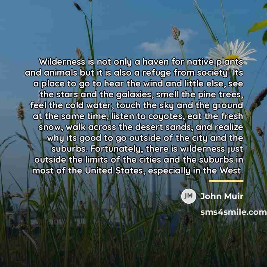 “Wilderness is not only a haven for native plants and…” quote by John Muir