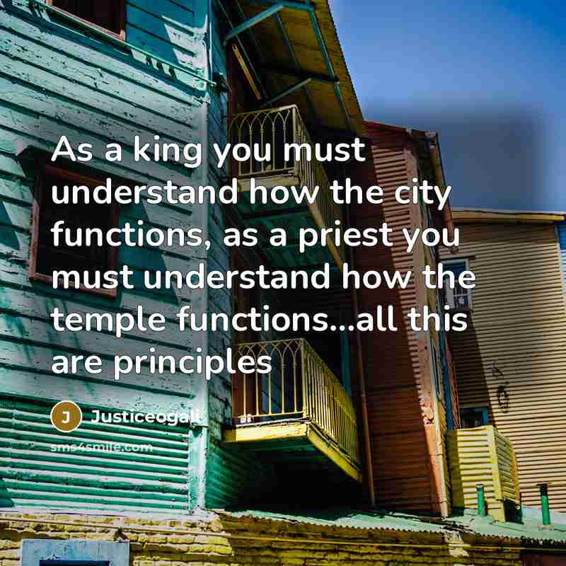“As a king you must understand how the city functions,…” quote by Justiceogali