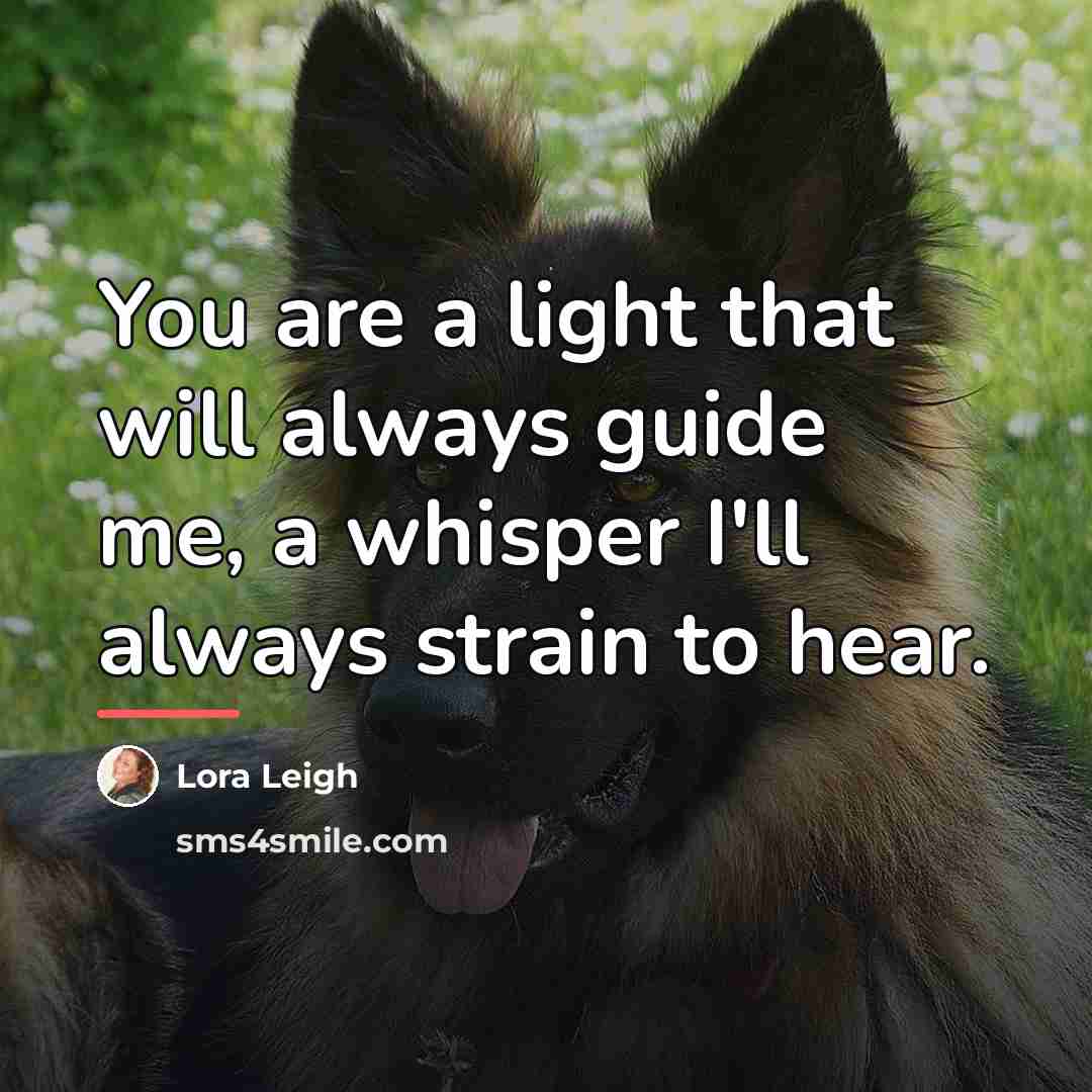 “You are a light that will always guide me, a…” quote by Lora Leigh