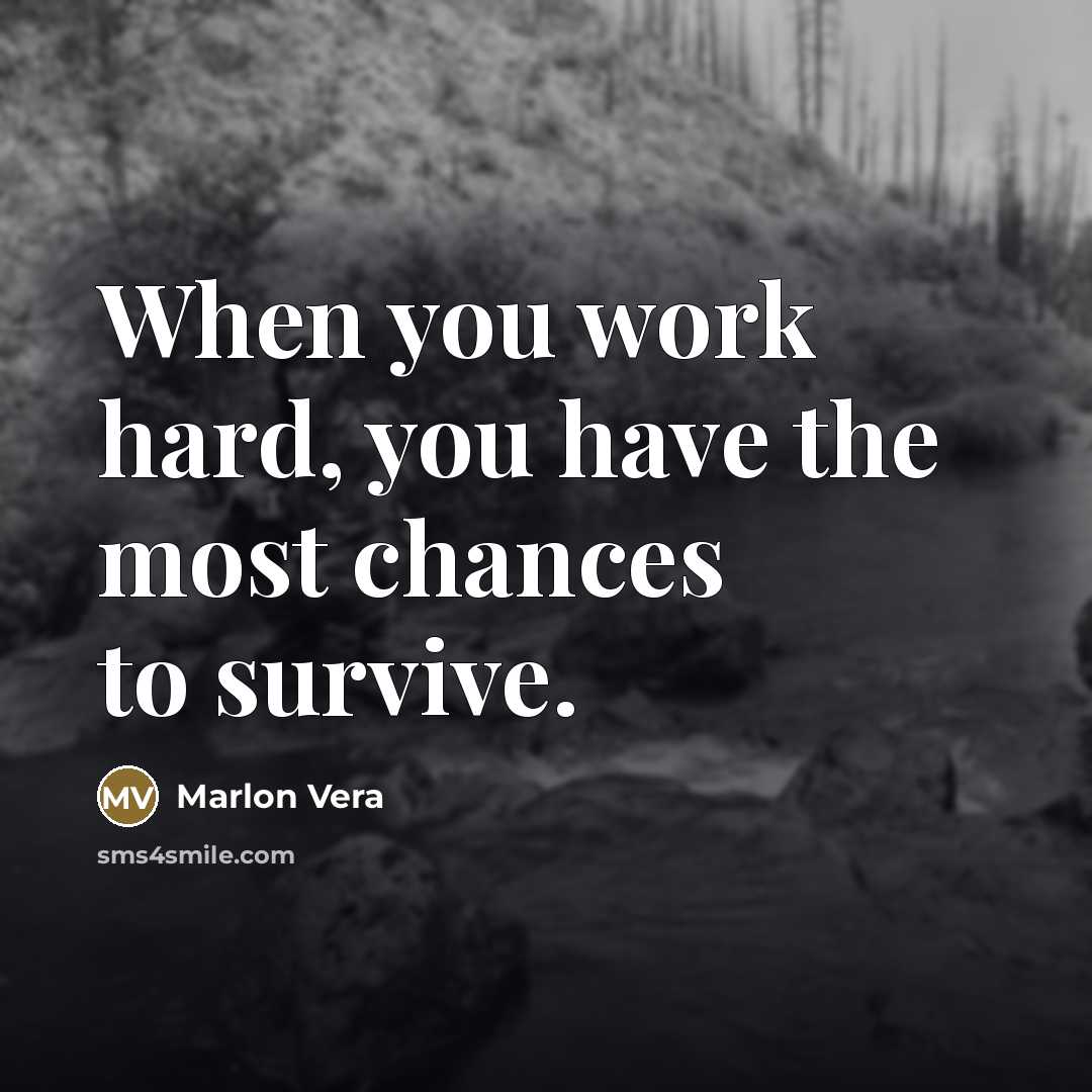 “When you work hard, you have the most chances to…” quote by Marlon Vera