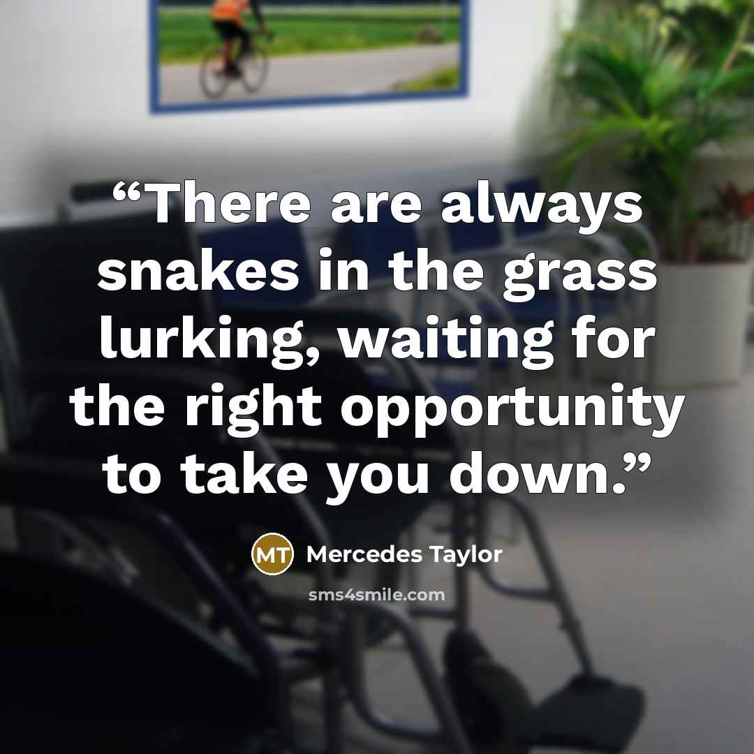 “There are always snakes in the grass lurking, waiting for the right opportunity to take you down.” quote by Mercedes Taylor
