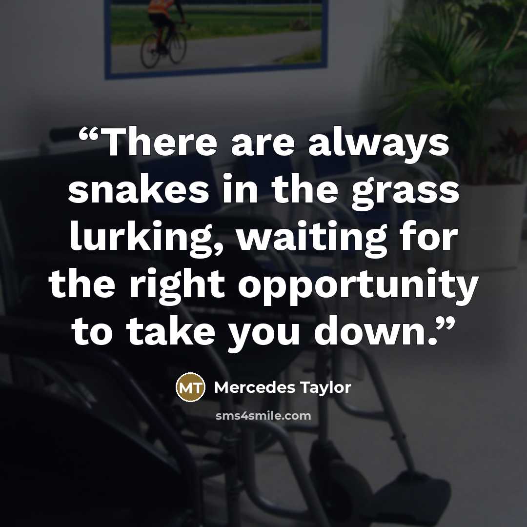 “There are always snakes in the grass lurking, waiting for the right opportunity to take you down.” quote by Mercedes Taylor