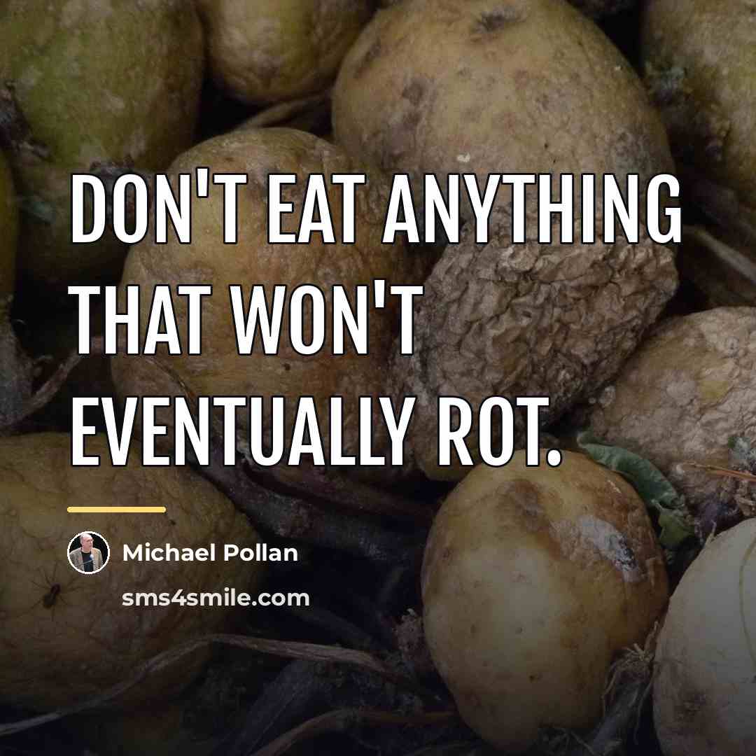 “Don't eat anything that won't eventually rot.…” quote by Michael Pollan