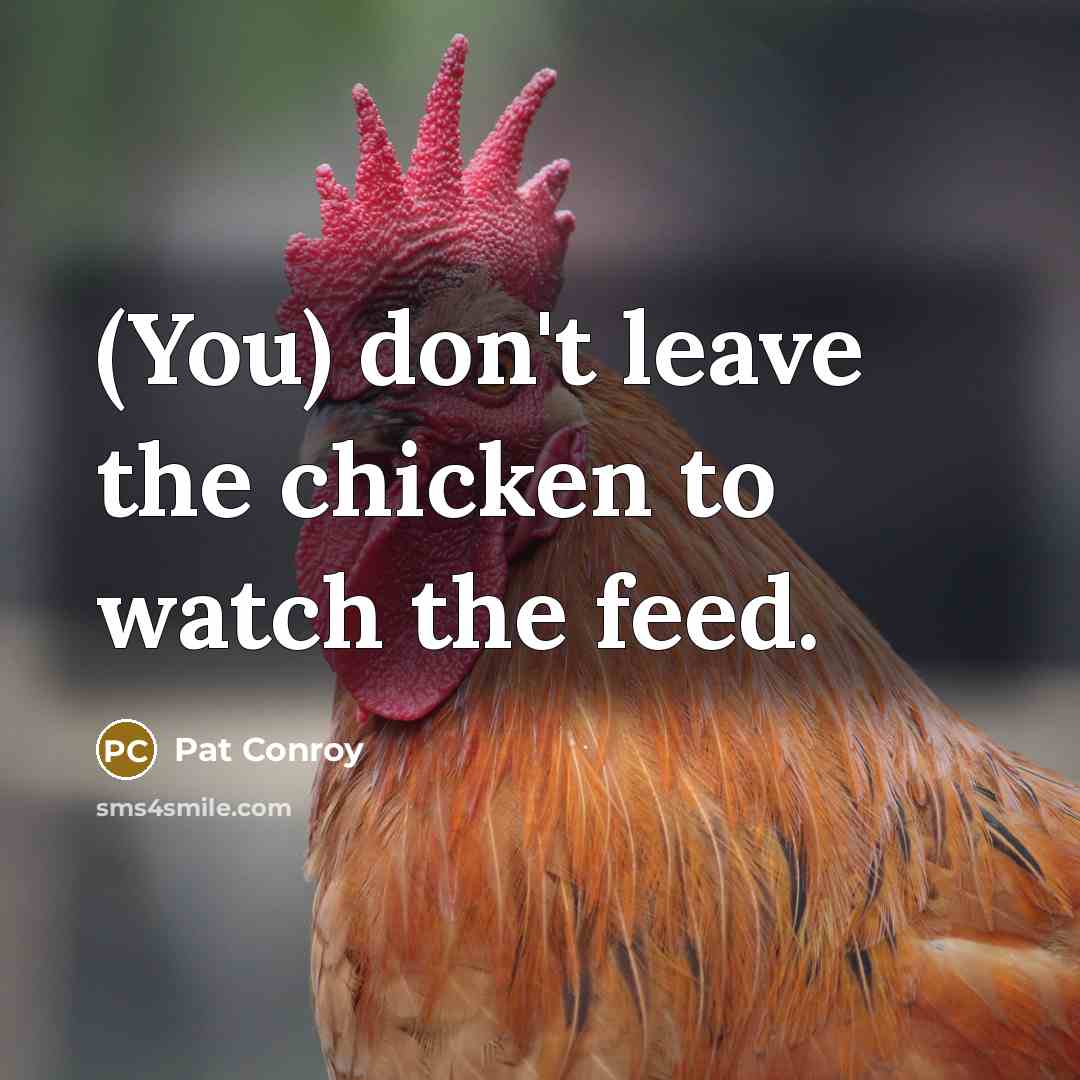 “(You) don't leave the chicken to watch the feed.” quote by Pat Conroy