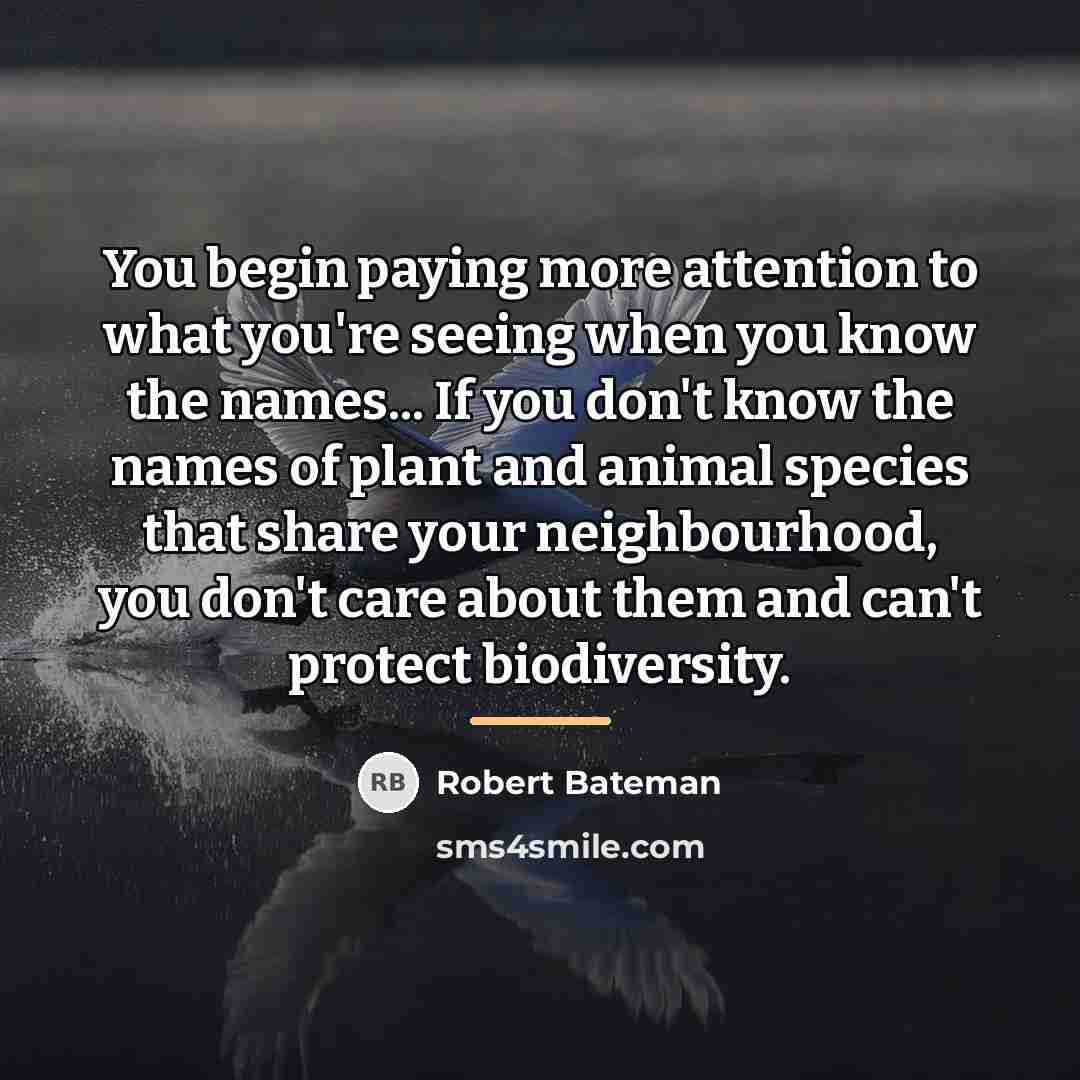 “You begin paying more attention to what you're seeing when…” quote by Robert Bateman
