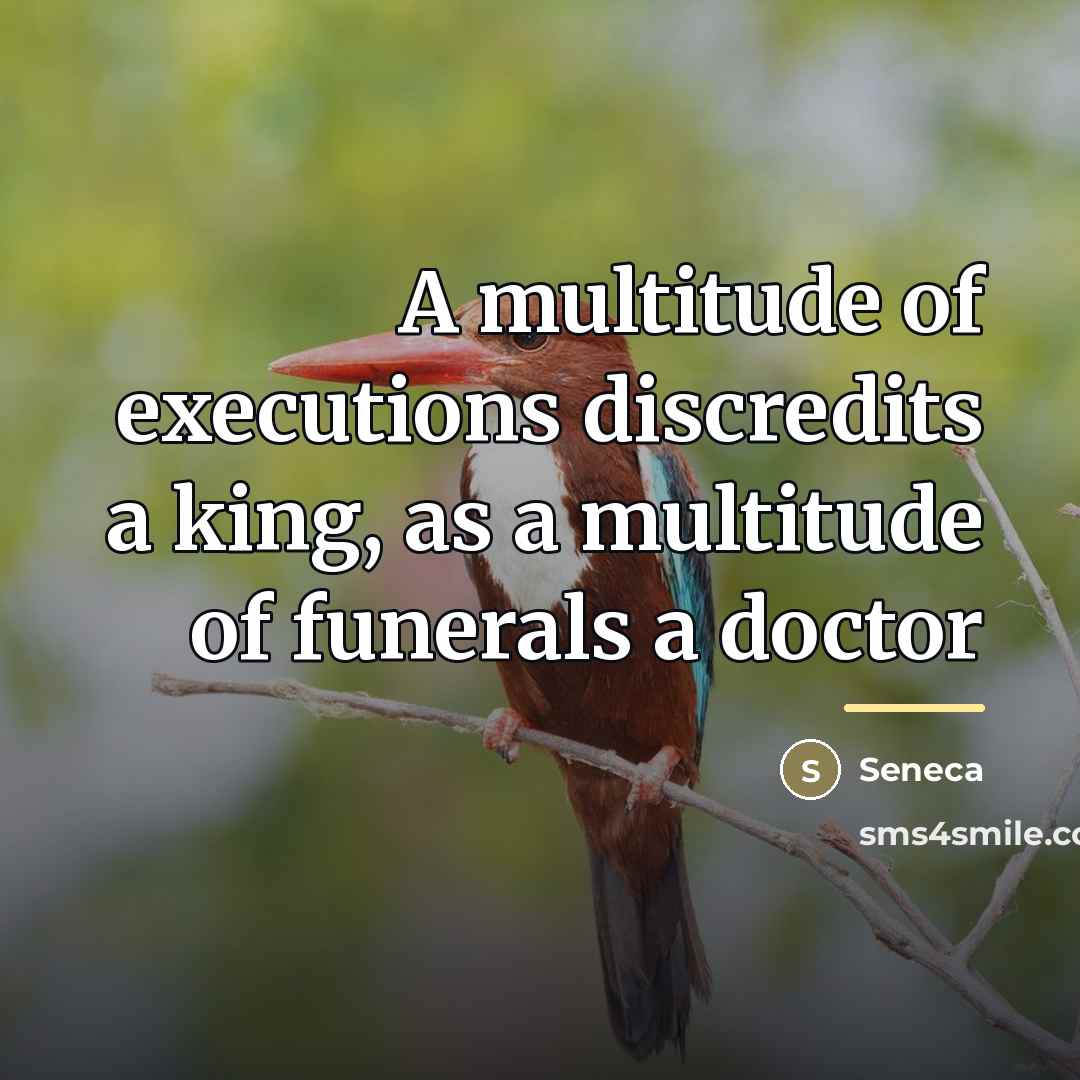 “A multitude of executions discredits a king, as a multitude…” quote by Seneca