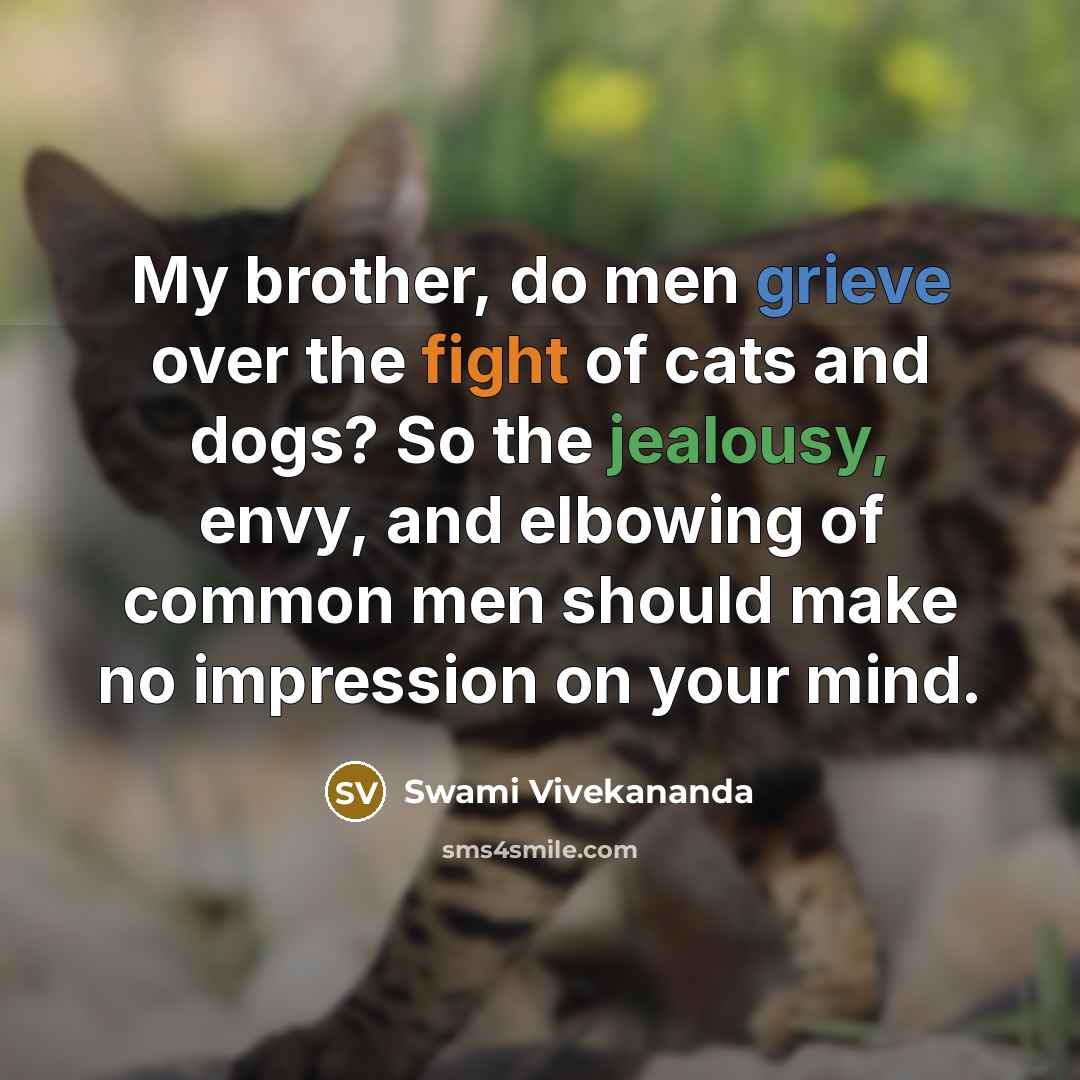 “My brother, do men grieve over the fight of cats and dogs? So the jealousy, envy, and elbowing of common men should make no impression on your mind.” quote by Swami Vivekananda
