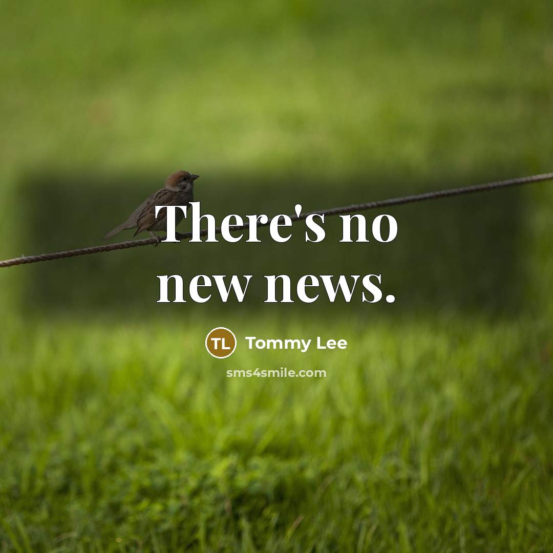 “There's no new news.…” quote by Tommy Lee