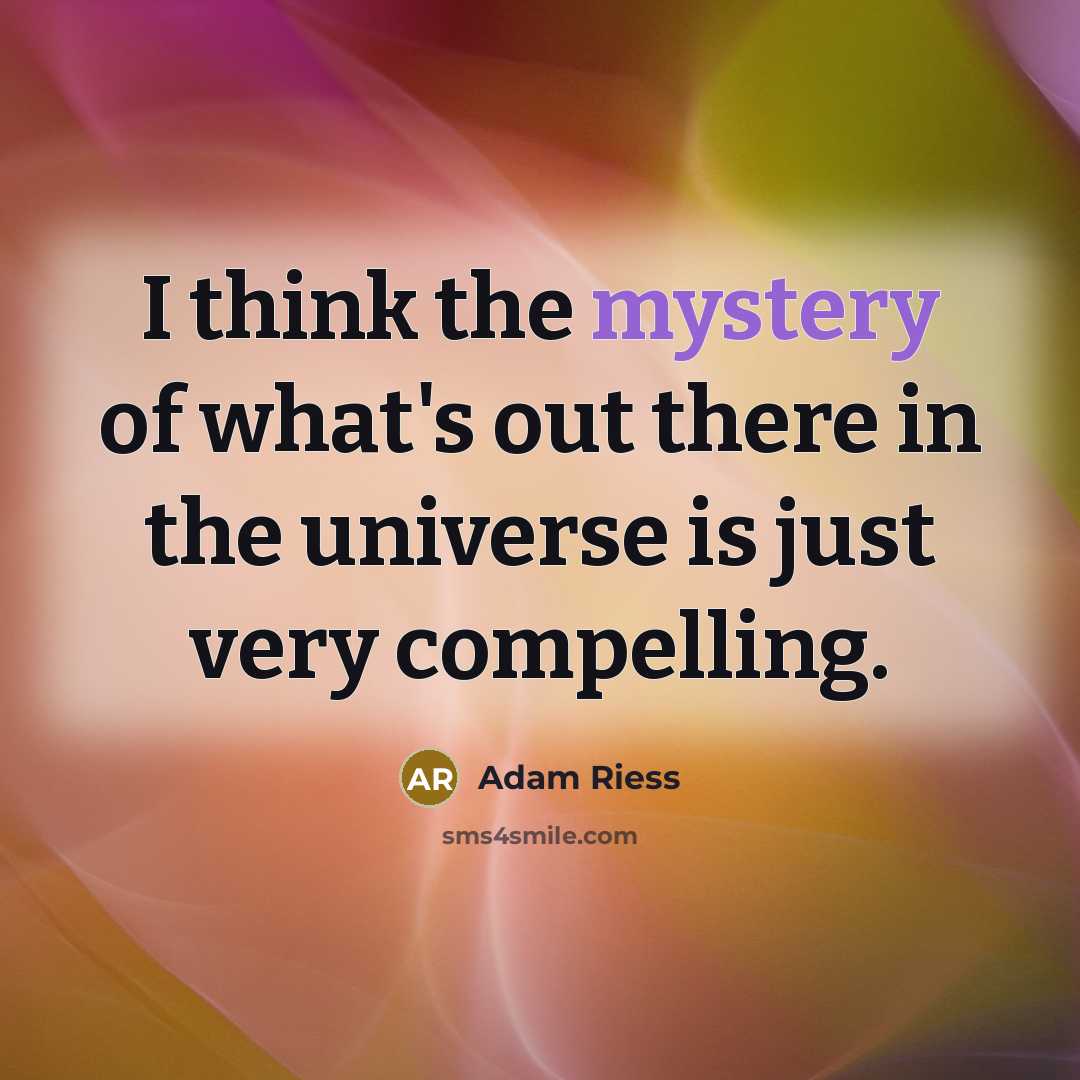 “I think the mystery of what's out there in the…” quote by Adam Riess