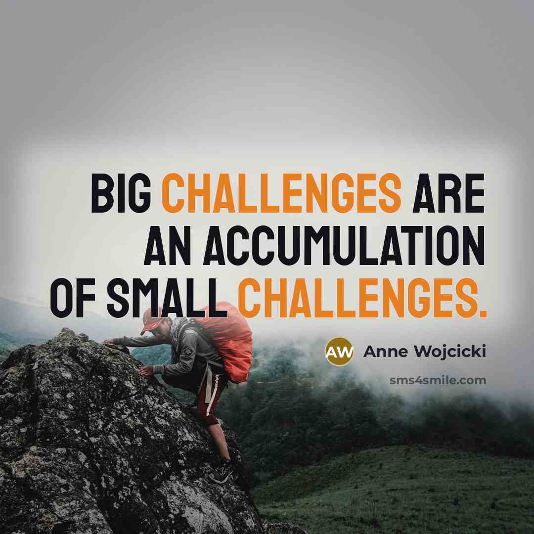 “Big challenges are an accumulation of small challenges.…” quote by Anne Wojcicki