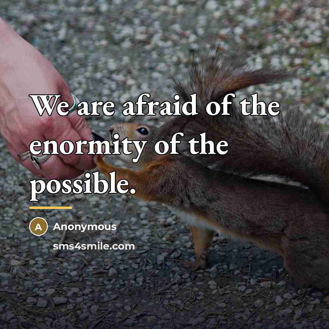 “We are afraid of the enormity of the possible.…” quote by Anonymous