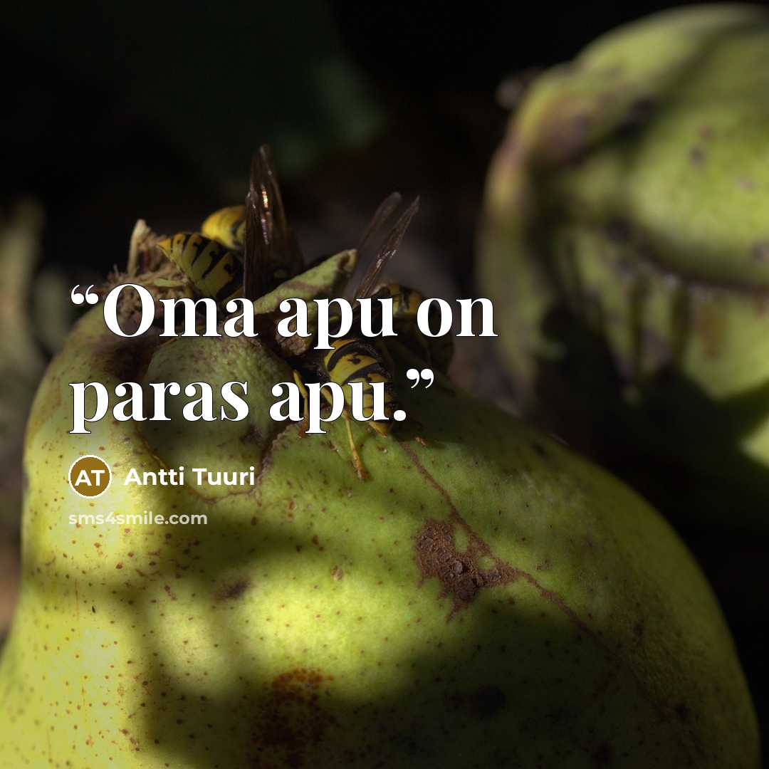 “Oma apu on paras apu.” quote by Antti Tuuri